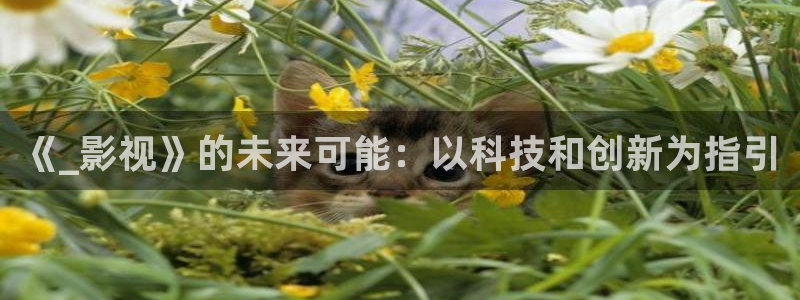 草民影院看一天：《_影视》的未来可能：以科技和创新为指引