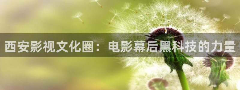 草民影院电视剧在线大全免费观看：西安影视文化圈：电影幕后黑科技的力量