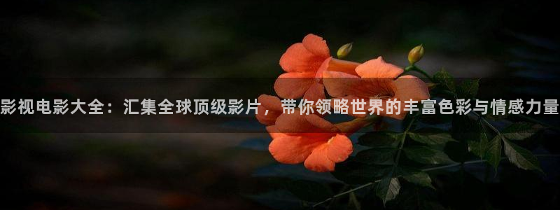 草民影院2023年最新电视剧推荐：影视电影大全：汇集全球顶级影片，带你领略世界的丰富色彩与情感力量