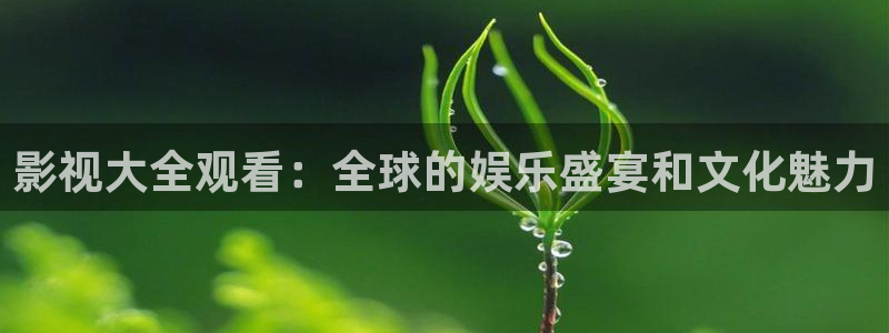 看一天草民理论电影：影视大全观看：全球的娱乐盛宴和文化魅力