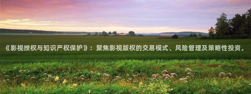 草民影视免费观看：《影视授权与知识产权保护》：聚焦影视版权的交易模式、风险管理及策略性投资。