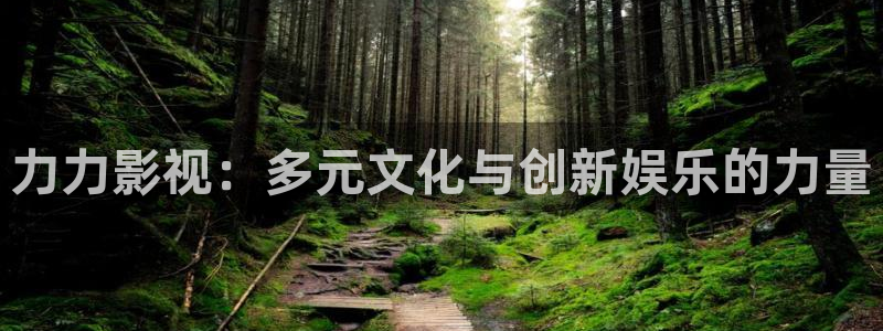 草民影院我不卡：力力影视：多元文化与创新娱乐的力量