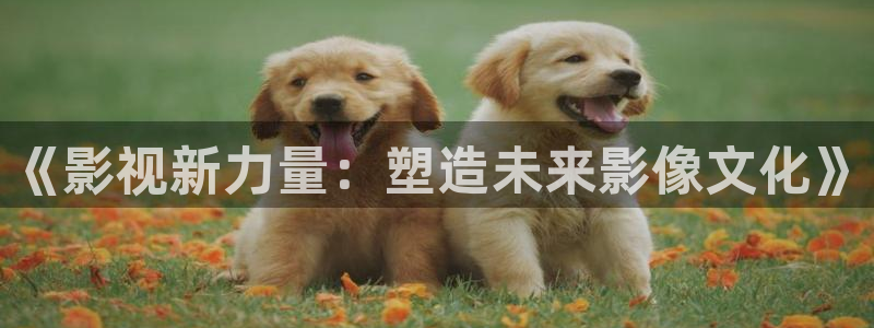 草民电影星辰影院：《影视新力量：塑造未来影像文化》