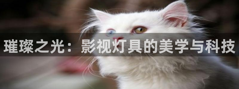 草民电影看一天影院：璀璨之光：影视灯具的美学与科技