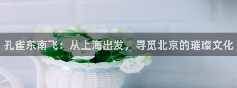 草民电影院宅急看：孔雀东南飞：从上海出发，寻觅北京的璀璨文化