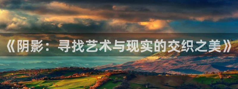 草民电影院电影天堂：《阴影：寻找艺术与现实的交织之美》