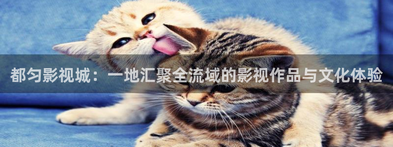 草民影院在线免费观看：都匀影视城：一地汇聚全流域的影视作品与文化体验