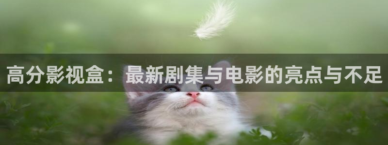 草民视频在线观看：高分影视盒：最新剧集与电影的亮点与不足